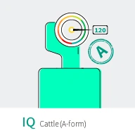 تست هوش IQ کتل (فرم - A)